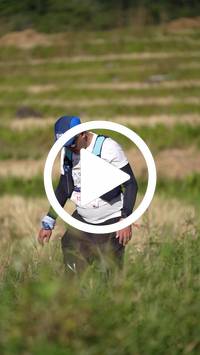 BIB:  <button type="button" onclick="openModal(26787059)" class="btn btn-primary btn-sm float-right" data-toggle="modal" data-target=".modal-high-quality">
                <i class="fa fa-download"></i> Download
                </button>